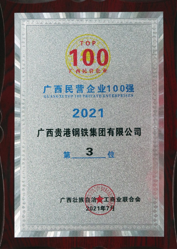 2021年廣西民營企業100強第3位.jpg