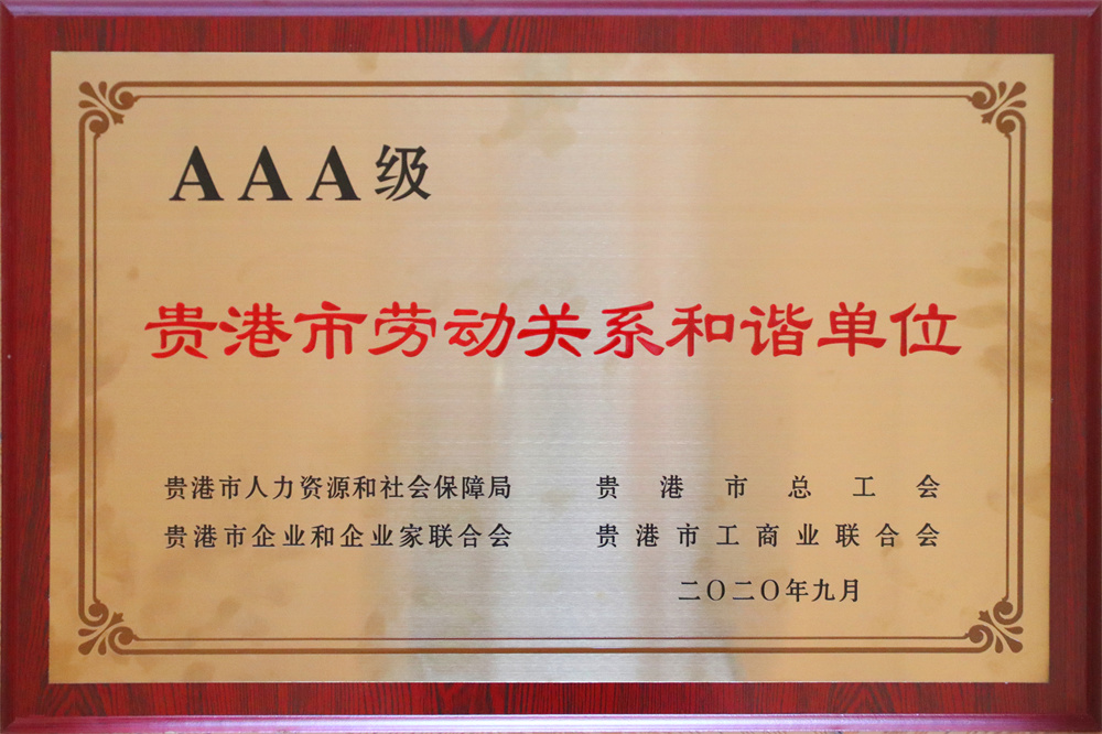 11.2020年度貴港市勞動關(guān)系和諧單位.jpg